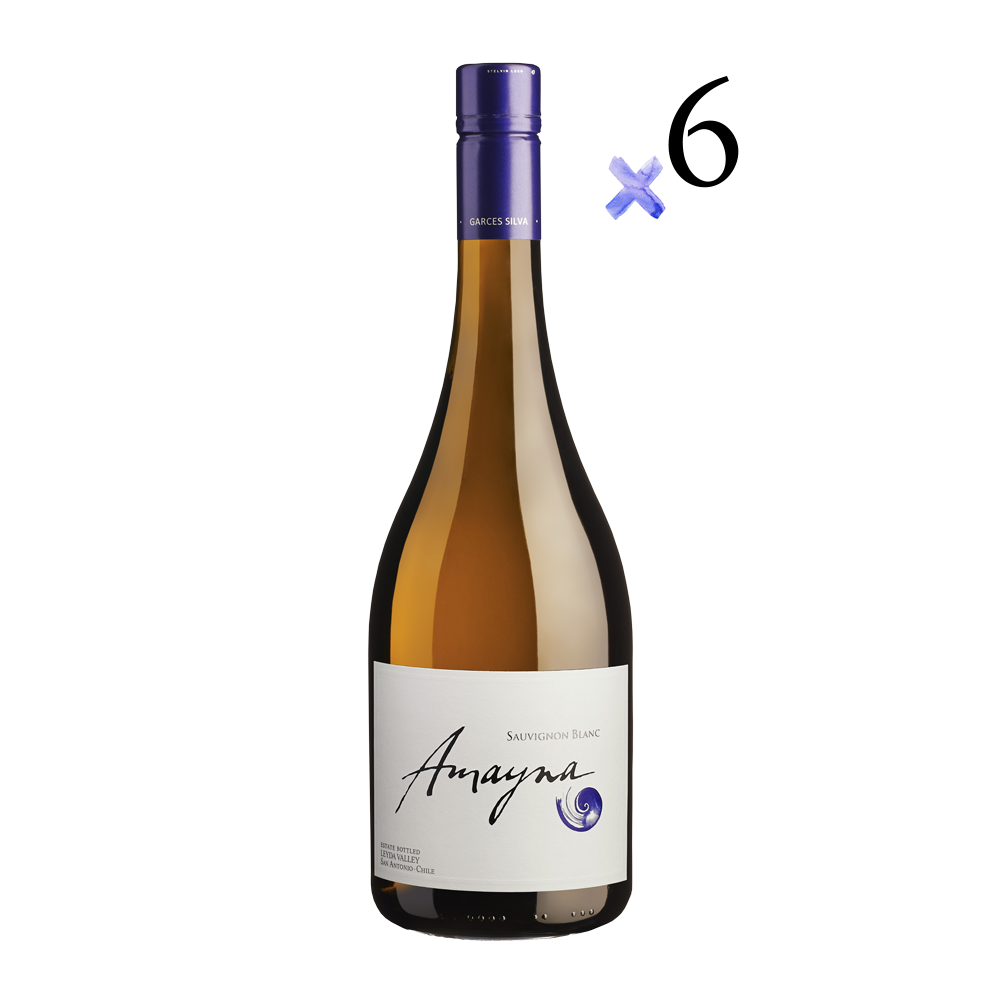 Sauvignon Blanc 2022 Caja 6 Botellas
