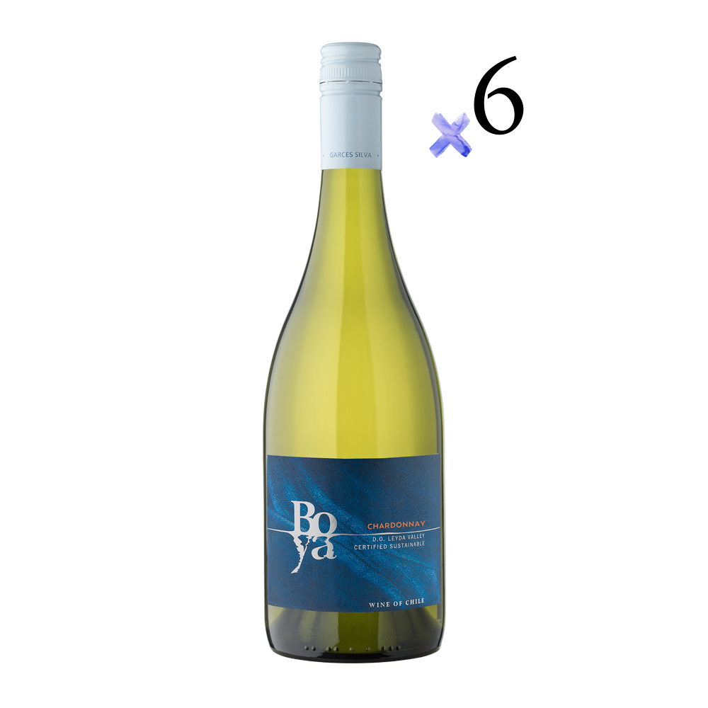 Chardonnay 2020 Caja 6 Botellas